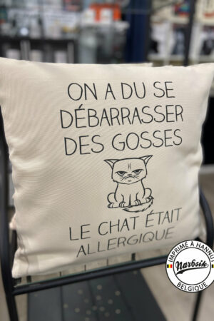 Coussin – CHAT ALLERGIQUE