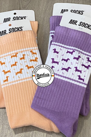 Chaussettes Chien TECKEL